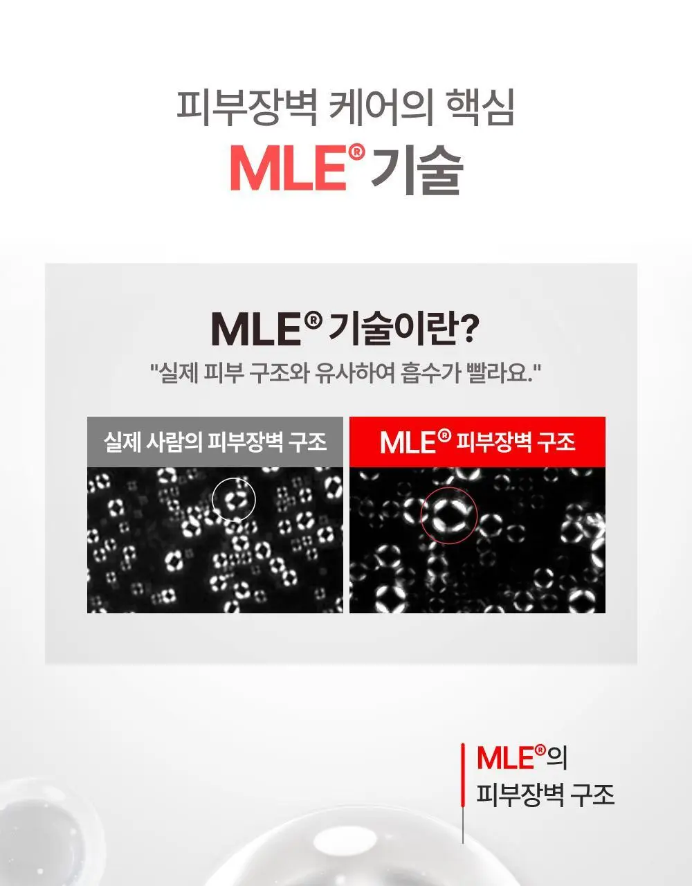[선물기획] 아토팜 에센셜 세트(로션200ml+워시300ml)+(로션20ml+크림8ml) 상세페이지 12